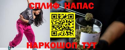 МДПВ Татарск