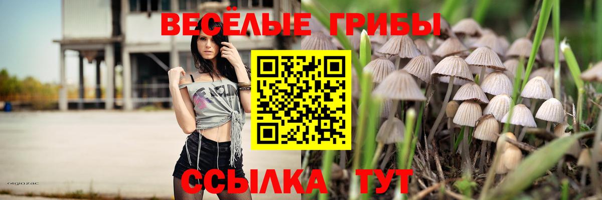 Псилоцибиновые грибы прущие грибы  Вход с VPN  Кострома 
